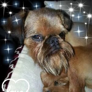 Meet your Posher, Denise